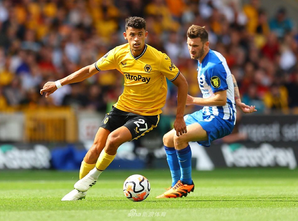 也体现了新 也体现了新